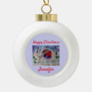 Search for robin bird ornaments Colourful