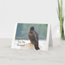 Search for buzzard cards Funny