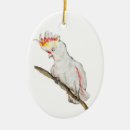 Search for parrot ornaments Cockatoo