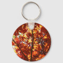 Search for japanese maple accessories Tree