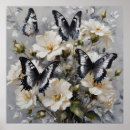 Search for black and white butterfly posters Butterflies