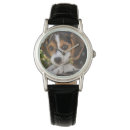 Recherche de beagle montres Animaux