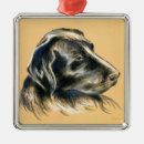 Search for black lab ornaments Canine