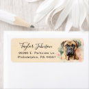 Search for bullmastiffs Cute