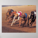 Search for animal tracks posters Dog