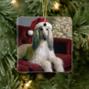 Search for couch ornaments Pet