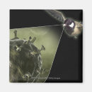 Search for avians magnets Illustration