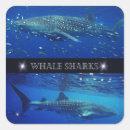 Search for whale shark stickers Fish