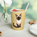 Search for siamese cat crafts party Tabby