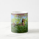 Search for baby ducklings mugs Nature