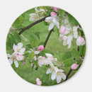 Recherche de apple magnets Vert