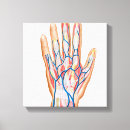 Search for phalanges Proximal phalanges