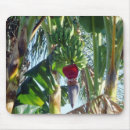 Recherche de bananes tapis souris Tropical