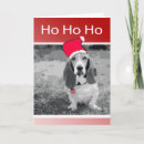 Recherche de hound photographie Chien de basset