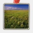 Search for remote ornaments North america