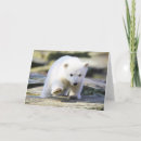 Search for polar bear cub cards Cute