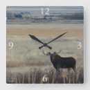 Recherche de chasse photographie Photographie de nature
