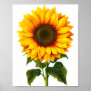 Search for sunflower summers posters Modern