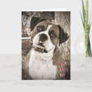 Search for boxer stamp cards Dad