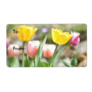 Search for spring bulbs labels Garden