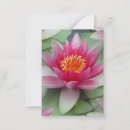 Search for meditation note cards Water lily