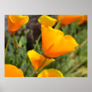 Search for spring birthday posters Happy
