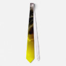 Search for flare ties Solar