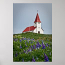 Recherche de de lupin posters Lupines