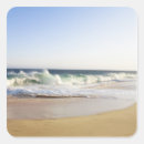 Search for baja stickers Cabo san lucas