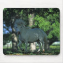 Recherche de cheval miniature tapis souris Équestre