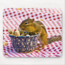 Search for chipmunks electronics Happy