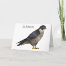 Search for peregrine cards Bird