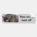 Search for cat in bumper stickers Cute