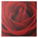 Search for affection tiles Nobody