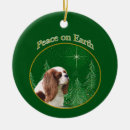 Recherche de cavalier king charles ornaments Dog