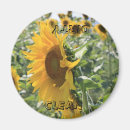 Search for tuscany magnets Yellow