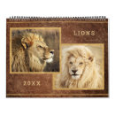 Search for wild animals calendars Jungle