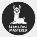 Search for flexible stickers Zen