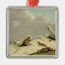 Search for ducks ornaments Winter