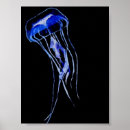 Recherche de méduses posters Noir