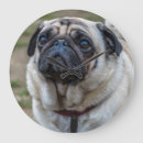 Search for pug clocks Time