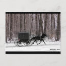 Recherche de amish cartes postales Buggy