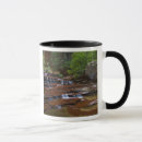 Search for zion mugs Desert