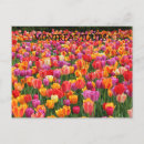 Recherche de tulipe cartes postales Canada