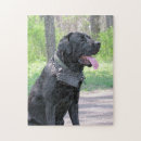 Recherche de cane corso gifts Canine