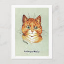 Search for orange and white postcards Cat