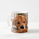 Recherche de friandises tasses Pour maman de chien