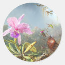 Search for hummingbird painting stickers Nature