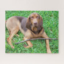 Recherche de parfum puzzles Animal