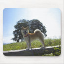 Search for shiba inu mousepads Japan